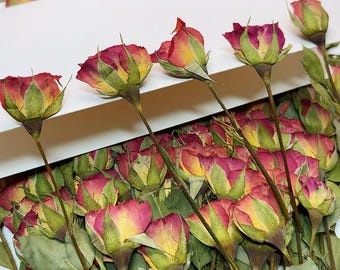 Pressed flowers,6 PCS Pressed Dried Roses, Orange yellow Dried Rose Flower Stems, Flat Roses, Real Dry Rose