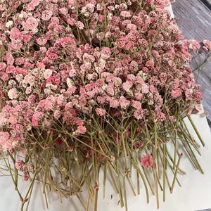 May include: A close-up of a bundle of dried baby's breath flowers. The flowers are a soft pink color with delicate, small blooms. The stems are a light brown color, and the flowers are arranged on a white surface.