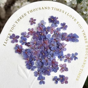 Pode incluir: Um conjunto de pequenas flores secas roxas e vermelhas dispostas em um cartão branco. O cartão tem o texto "I LOVE YOU THREE THOUSAND TIMES" em letras douradas. As flores estão agrupadas, criando uma estética delicada e romântica.