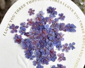 Nail flower,Real Dried Flower,Floral Nail Art,Mini Floral 10PCS/Pack,floral nails (0.5~0.8cm)