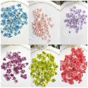 Pode incluir: Variedade de flores secas em várias cores, incluindo azul, rosa, roxo, verde e vermelho. As flores são dispostas em papel branco com o texto em relevo «THOUSAND TIMES I LOVE YOU». Ideal para artesanato ou decoração.