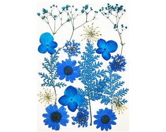 Pressed flowers, blue white Pressed flowers,15 PCS Set mixed pack,blue Pressed Dried Flowers,white dry flowers