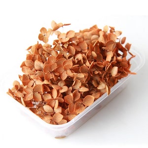 Orange Dried Hydrangea Flowers: Resin Crafts, Cards, Decor (5g)