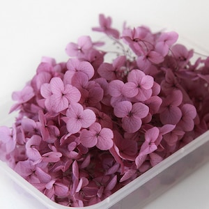 May include: A close-up of a container filled with dried pink hydrangea flowers. The flowers are delicate and have a soft, pastel color.