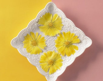 Pressed Calendula Flowers: Yellow Dried Flat Wildflower (6 Pcs/Pack)