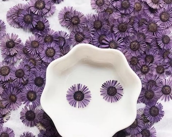 Pressed flowers,12 pcs/Pack, Purple chrysanthemum Real Pressed dry Flowers,Pressed Flat Dried Flowers Preserved Flat Wildflower
