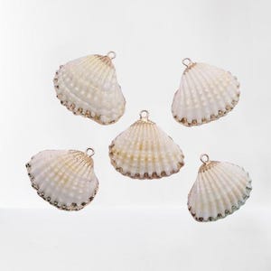 Hanger met gouden rand: schelp: strandketting (2,5-3 cm .)