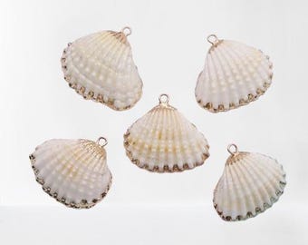 Hanger met gouden rand: schelp: strandketting (2,5-3 cm .)