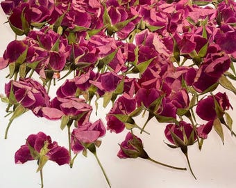 Pressed flowers,Rose pink Rose Pressed Flowers 10 pcs/Pack, Dry Flowers,pink rose,Pressed Dry Flower,Pressed Rose bud,Dried  Flowers