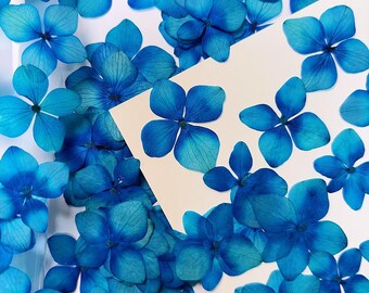 Pressed flowers,Dried Flowers,12 pcs/Pack, Blue Pressed flowers,dry Flowers,Pressed Flat Dried Flowers,Hydrangea Dried Flowers