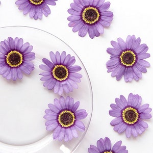 Pressed flowers, purple Pressed flowers,6 pcs/Pack, purple chrysanthemum,Pressed Dried Flowers,Chrysanthemum flower(3-5cm)