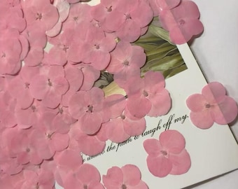 12 Pink Pressed Hydrangea Flowers (3-3.5cm)