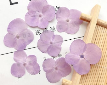 May include: A collection of eight dried purple hydrangea flower petals. The petals are arranged on a white surface with a wooden background.