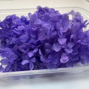 Dried Flower, Dried Flower purple Hydrangea Flowers 1 set purple Dry Flowers,Dried Flowers, Real Dried Flowers  Hydrangea