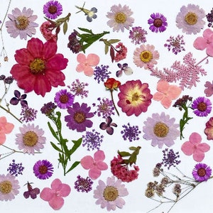 Pressed flowers, pink Pressed flowers,100 PCS Set pink mixed pack,Pressed Dried Flowers,pink dry flowers Purple