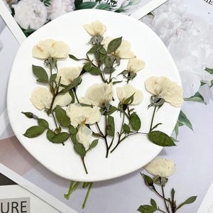 May include: A collection of dried white rose blossoms with green stems and leaves on a white plate.