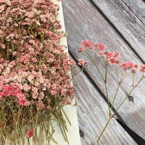 May include: Dried pink baby's breath flowers. The image shows a large bundle of baby's breath on a white surface, with a few stems on a wooden background. The flowers are a mix of pink and white.