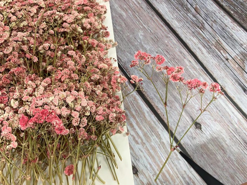 May include: Dried pink baby's breath flowers. The image shows a large bundle of baby's breath on a white surface, with a few stems on a wooden background. The flowers are a mix of pink and white.