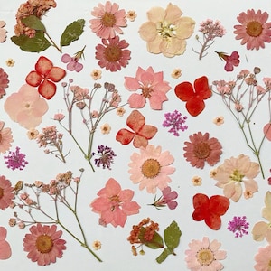 Pressed flowers, pink Pressed flowers,100 PCS Set pink mixed pack,Pressed Dried Flowers,pink dry flowers image 2