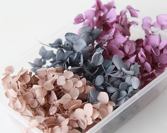 Dried Hydrangea Flowers: Coffee Gray Purple Mix (5g)