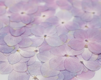 Pressed Light Purple Hydrangea Flowers (12pcs/pack)