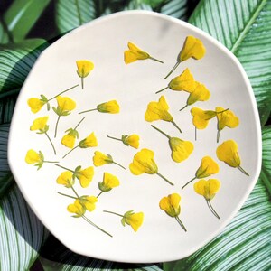 Geperste bloemen, 12 stuks geperste bloemen, geperste bloemen, geperste gedroogde bloemen, geconserveerde platte wilde bloemen, gele geperste bloemen