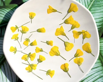 Pressed flowers,12 pcs Pressed flowers,cole flowers,Pressed Flat Dried Flowers Preserved Flat Wildflower,Yellow Pressed flowers