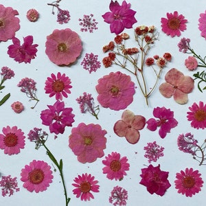 Pressed flowers, Rose red Pressed flowers,20-100 PCS pink mixed pack,pink Pressed Dried Flowers,pink dry flowers