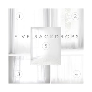 Set of 5 Backlit Window Digital Backdrops BUNDLE White Curtains, Maternity Photography