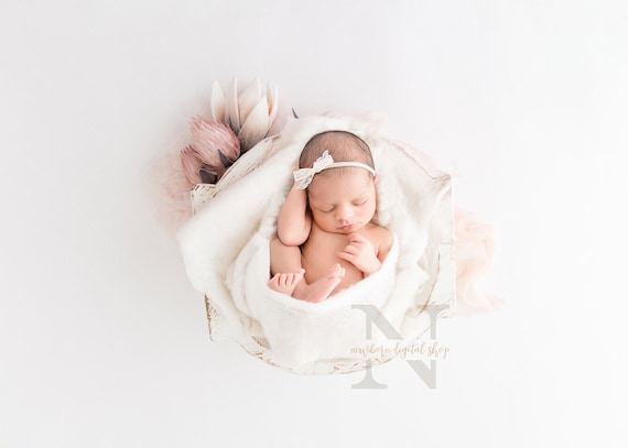 Newborn Digital Prop White Bowl Floral Boho Backdrop