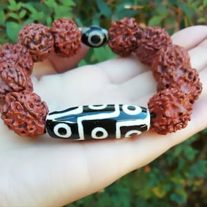 Large Stretchy Tibetan 10 16mm Rudraksha Bodhi Seed Big 9-eye Barrel dZi Beads Beaded Amulet Turquoise Bracelet -6.5&quot;