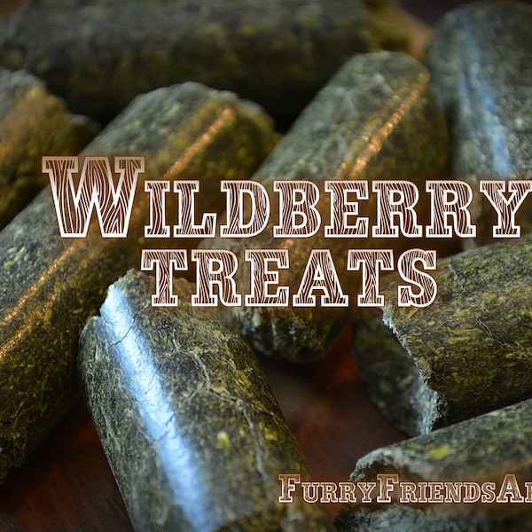 Wildberry treats, treats for small pets, chinchilla, rabbit, hamster, gerbil