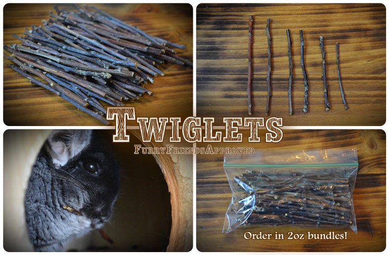 Apple sticks, apple twiglets, apple twigs, apple chew chunks, treats for small pets, chinchilla, degu, rabbit, hamster, gerbil, rat, bird image 4