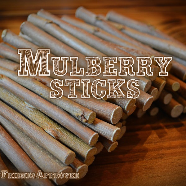 Mulberry sticks, treats for small pets, chinchilla, rabbit, hamster, degu, guinea pig, gerbil, rat, bird