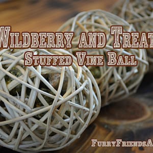 Wildberry and appleasses treats stuffed vine ball, toys for small pets, chinchilla, hamster, gerbil