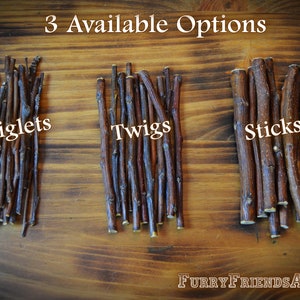 Apple sticks, apple twiglets, apple twigs, apple chew chunks, treats for small pets, chinchilla, degu, rabbit, hamster, gerbil, rat, bird image 2