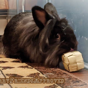 May include: A black and grey fluffy rabbit is sitting on a patterned rug and chewing on a woven, light brown, square-shaped toy. The text "Furry Friends Approved" is visible in the bottom left corner of the image.