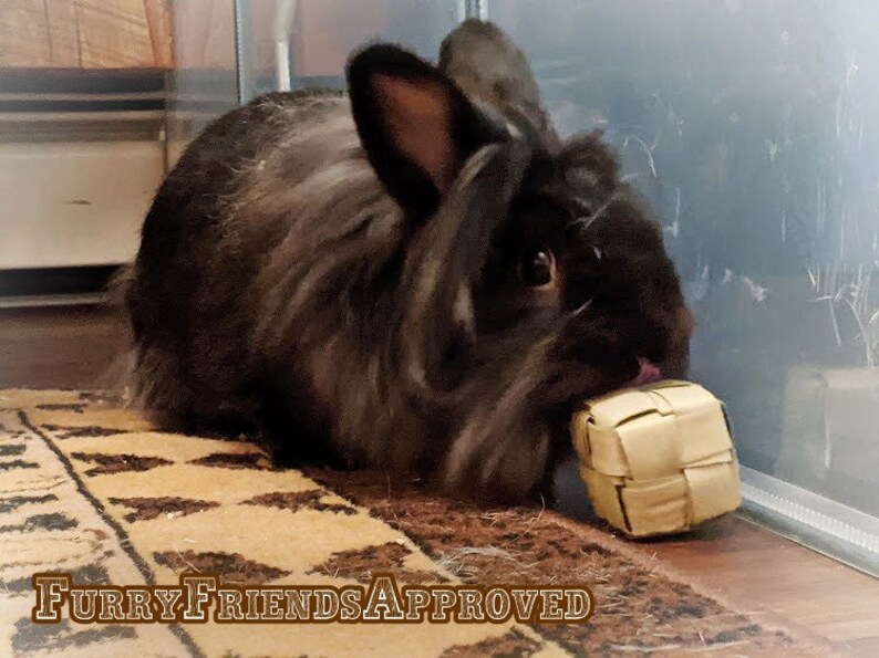 May include: A black and grey fluffy rabbit is sitting on a patterned rug and chewing on a woven, light brown, square-shaped toy. The text "Furry Friends Approved" is visible in the bottom left corner of the image.