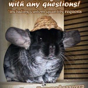 May include: A black and white chinchilla wearing a straw hat sits on a wooden platform. The chinchilla has large ears and a fluffy tail. The platform has the text "Furry Friends Approved" printed on it. The image includes the text "Message us with any questions! *including custom quantity requests".