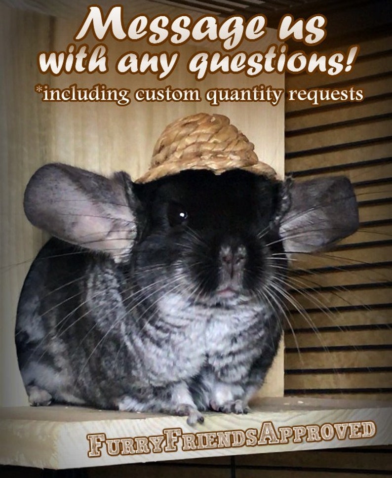 May include: A black and white chinchilla wearing a straw hat sits on a wooden platform. The chinchilla has large ears and a fluffy tail. The platform has the text "Furry Friends Approved" printed on it. The image includes the text "Message us with any questions! *including custom quantity requests".