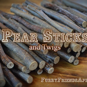 Pear sticks, pear twigs, pear chew chunks, treats for small pets, chinchilla, rabbit, degu, hamster, gerbil, rat, bird