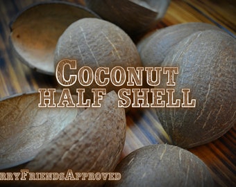 Coconut half shell, toy for small pets, chinchilla, rabbit, degu, hamster, gerbil, treat bowl, food bowl, organic bowl