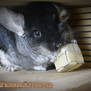 May include: A black and grey chinchilla with large ears is holding a woven, light brown, rectangular toy in its paws. The chinchilla is sitting on a light brown surface.