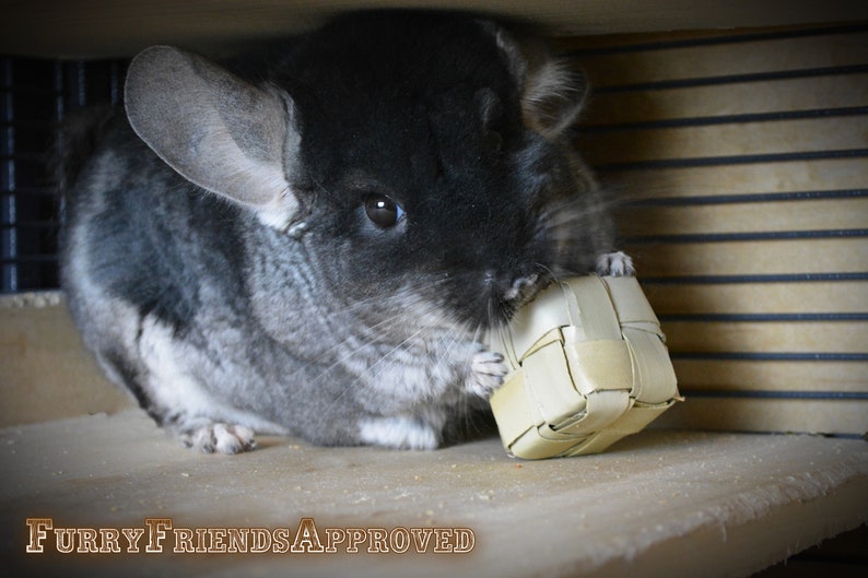 May include: A black and grey chinchilla with large ears is holding a woven, light brown, rectangular toy in its paws. The chinchilla is sitting on a light brown surface.