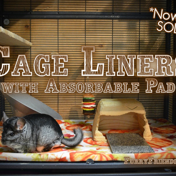 Chinchilla Cage Etsy