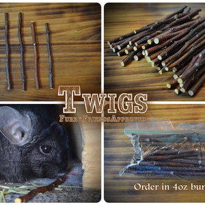 Apple sticks, apple twiglets, apple twigs, apple chew chunks, treats for small pets, chinchilla, degu, rabbit, hamster, gerbil, rat, bird image 5