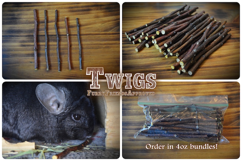 Apple sticks, apple twiglets, apple twigs, apple chew chunks, treats for small pets, chinchilla, degu, rabbit, hamster, gerbil, rat, bird image 5