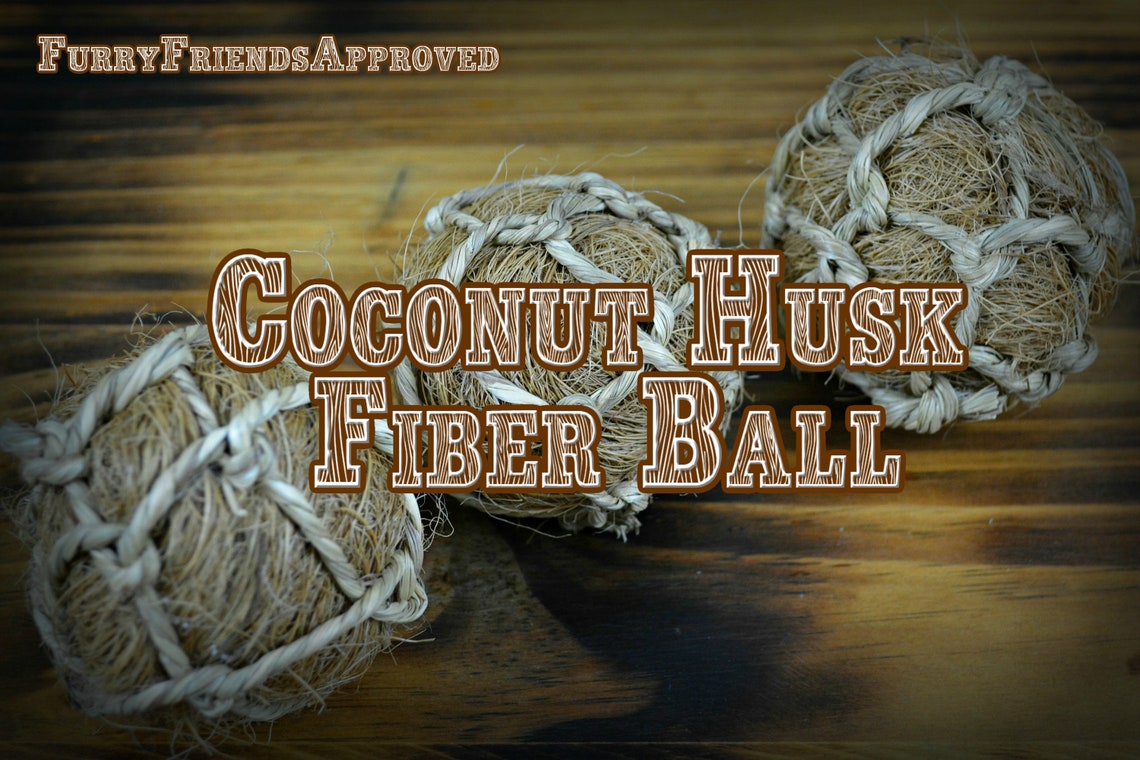 Coconut Husk Ball Toy for Small Pets Chinchilla Degu Etsy