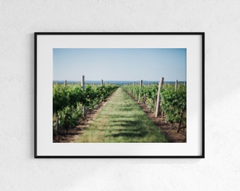 Fredericksburg Vinyard | Photo Print | Texas Photography | Wall Decor | Winery | Fredericksburg