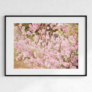 Spring at Petit Palais | Photo Print | Travel Photography | Travel Art | Wall Decor | Paris | Europe Art